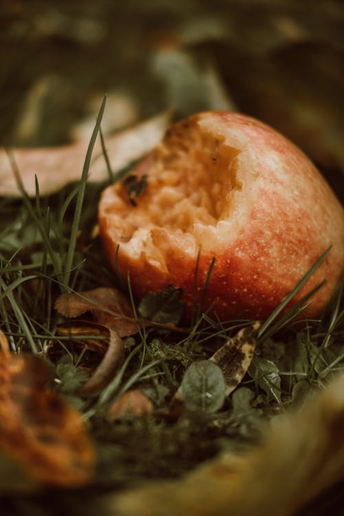 apple, çekilmiş, dikey atış içeren Ücretsiz stok fotoğraf