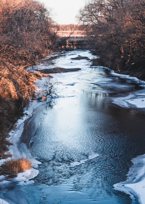 Photos gratuites de fleuve, froid, givré