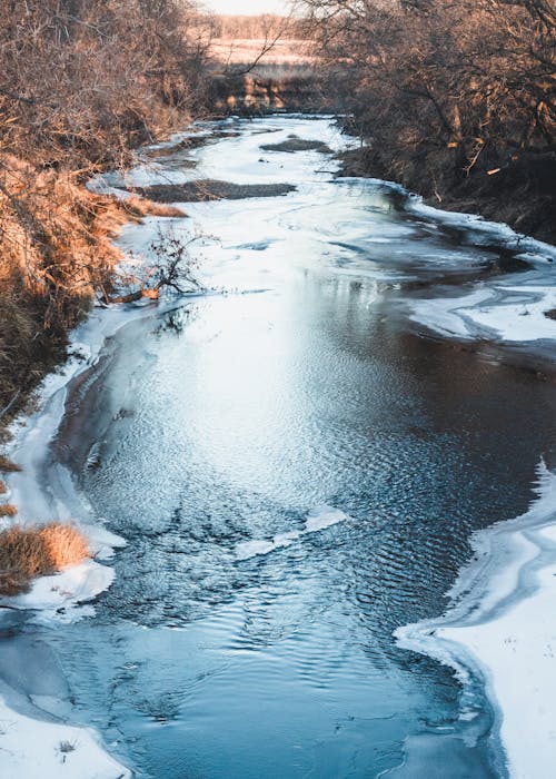 Photos gratuites de fleuve, froid, givré