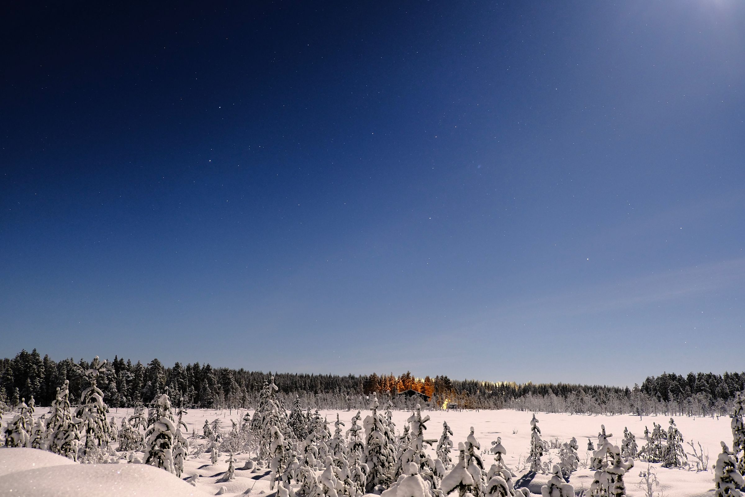 Huskieslee in Fins-Lapland