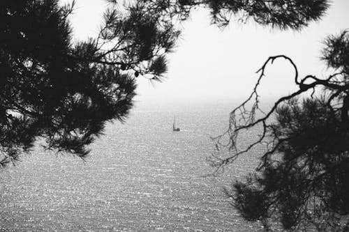 Sailboat in Sea in Black and White