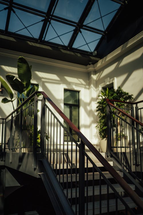 Základová fotografie zdarma na téma exteriér budovy, hrnková rostlina, madlo