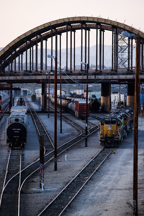 Cargo Trains on Tracks under Bridge