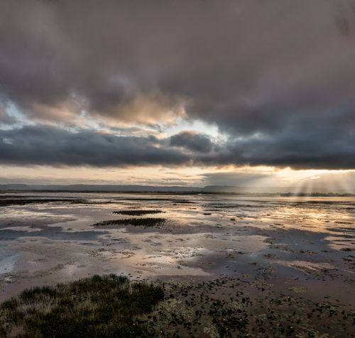 Free Aerial view of stunning overcast skies over Minnesota wetlands at sunset. Stock Photo