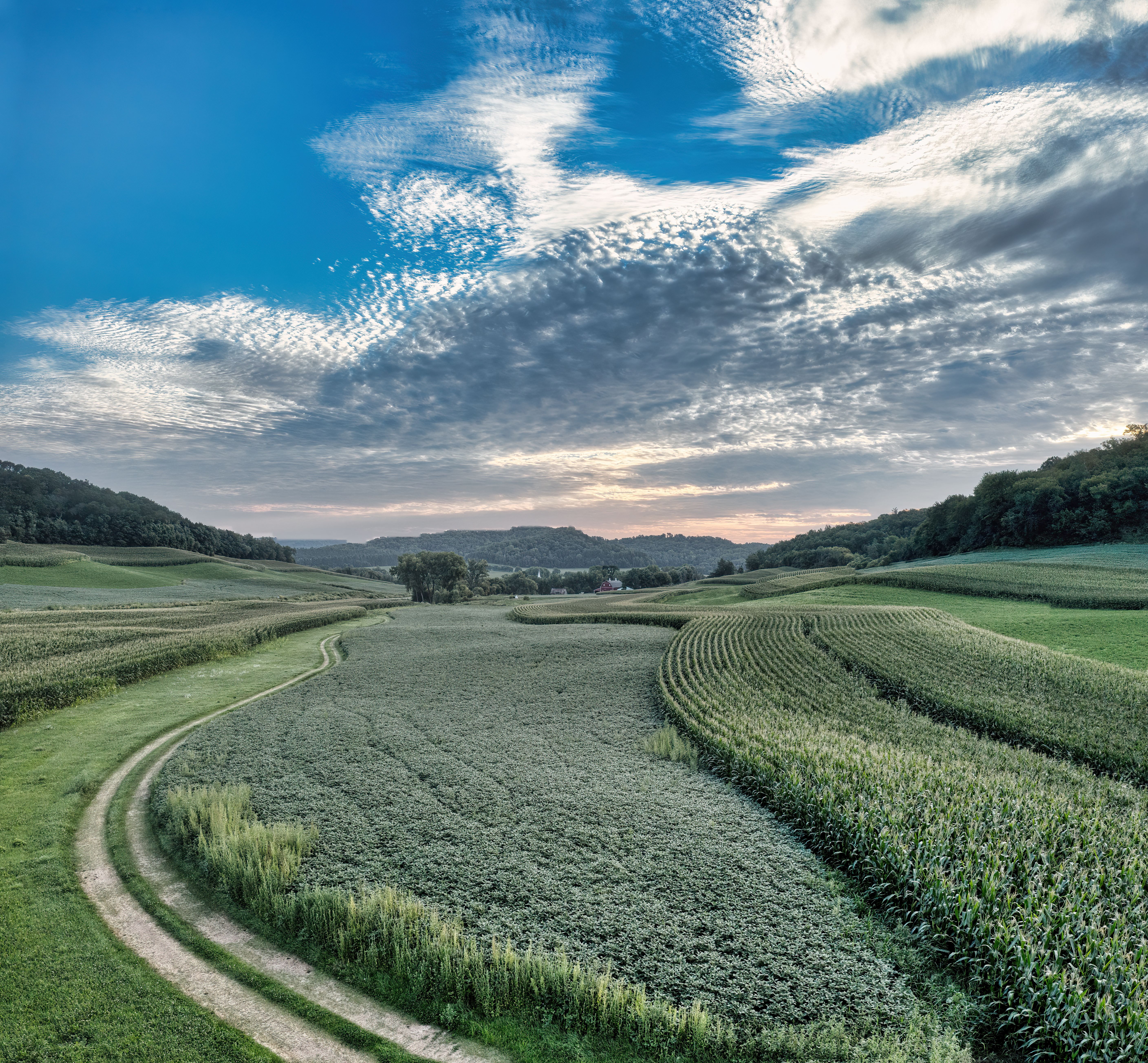 Fields in Summer · Free Stock Photo