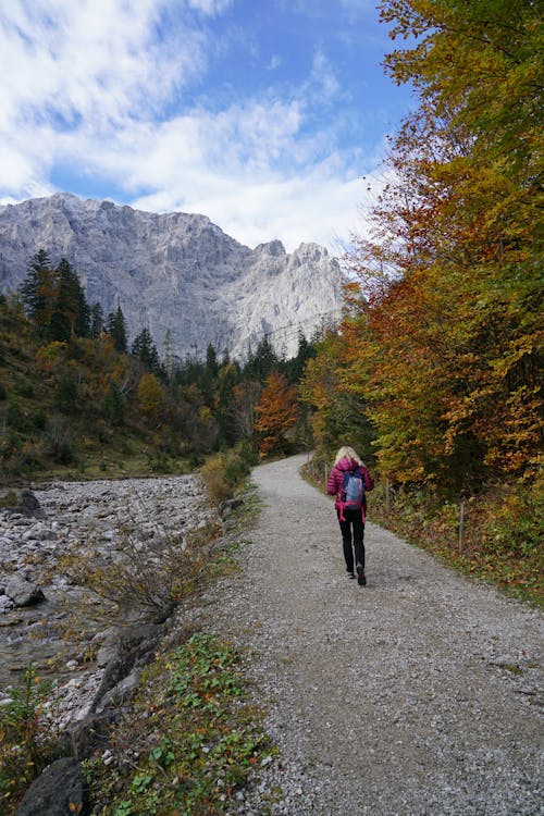 Kostenloses Stock Foto zu abenteuer, bäume, berge