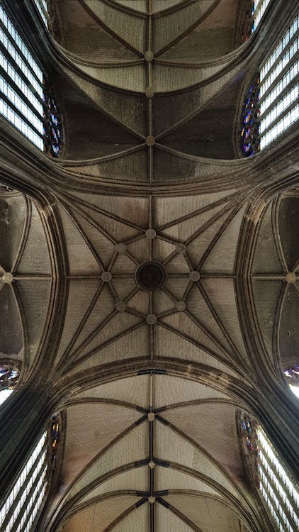 고딕 양식의 건축물, 교회, 대성당의 무료 스톡 사진