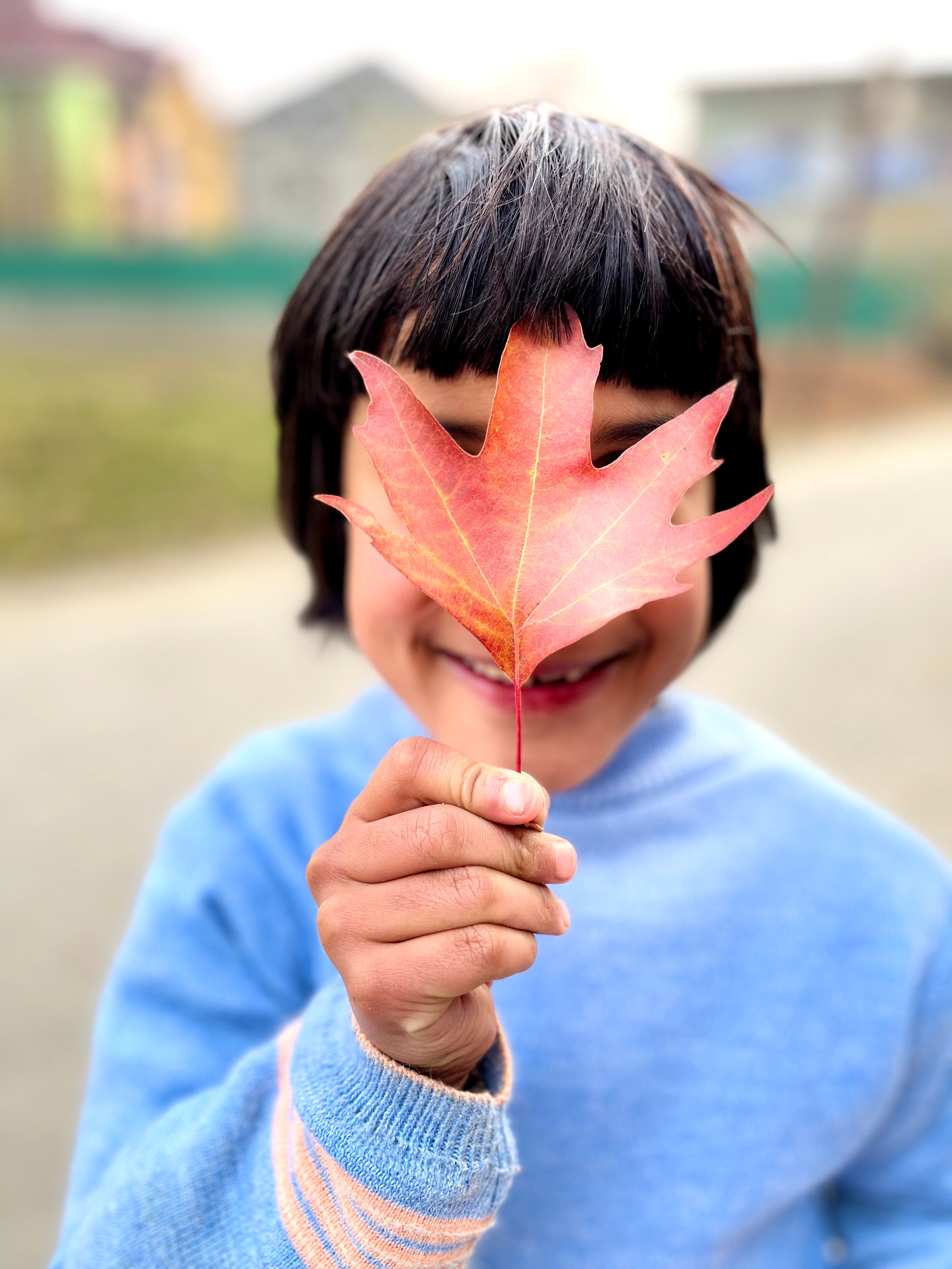 Young Child Holding Red Leaf over their Face · Free Stock Photo