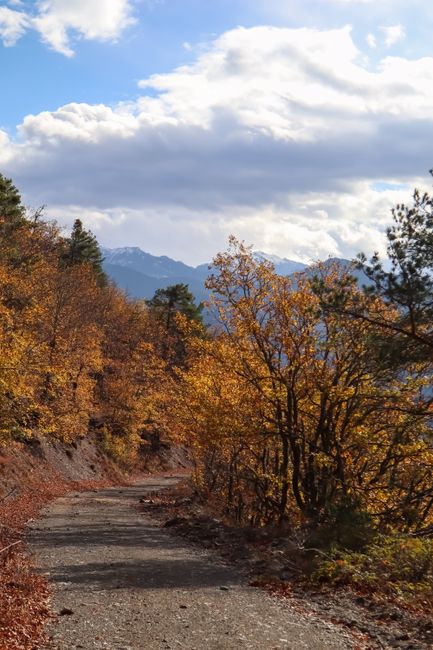 Enjoy the Fall Colors things to do in tannersville ny