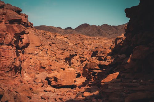 Barren Canyon Landscape