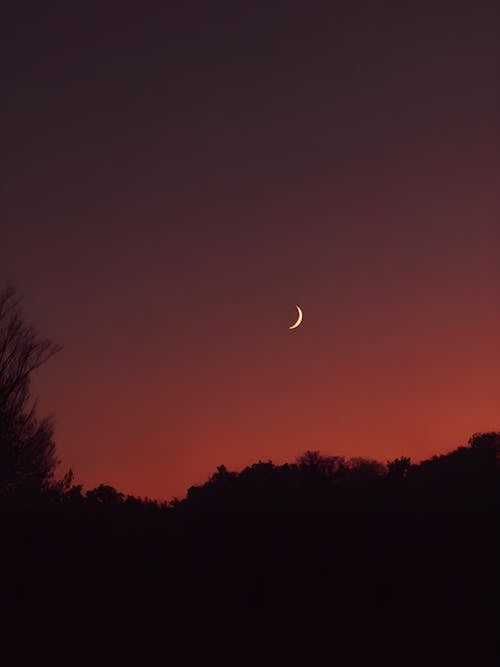 Crescent on Red Sky at Dusk