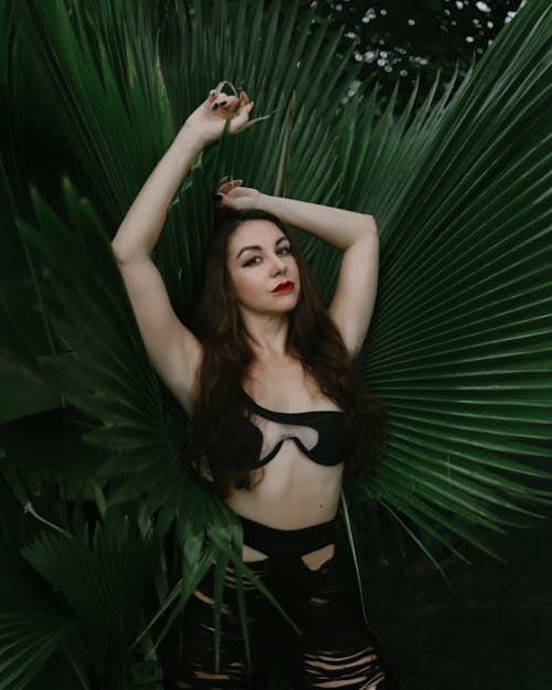 https://images.pexels.com/photos/19312433/pexels-photo-19312433/free-photo-of-young-woman-posing-in-front-of-a-tropical-plant.jpeg?auto=compress&cs=tinysrgb&dpr=1&w=500
