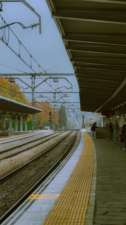 Free Foggy autumn morning at a railway station, capturing the tranquil vibe of empty train tracks and platforms. Stock Photo