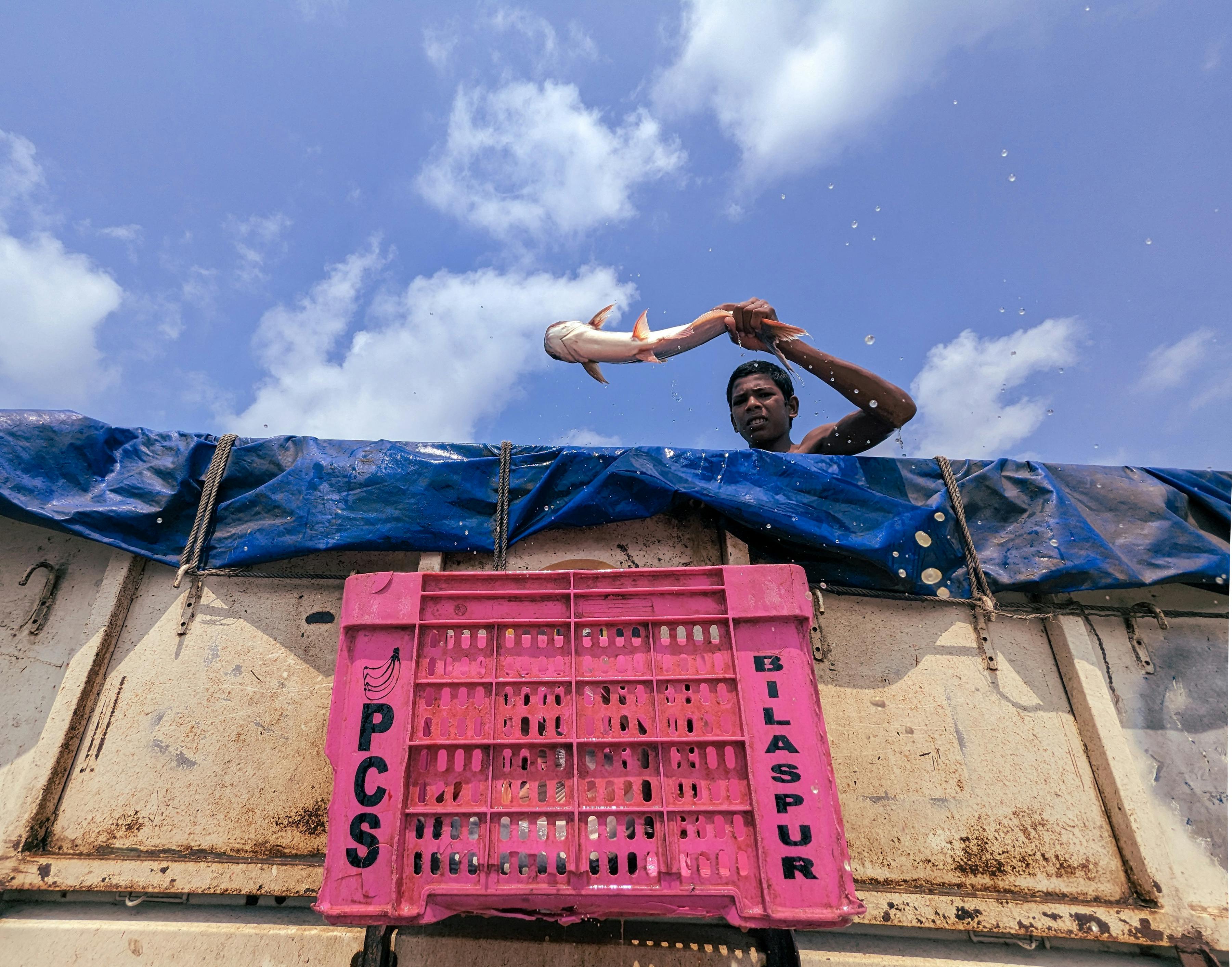 A fisherman holds up a fish on a boat under a clear sky in Bilaspur, India. 
