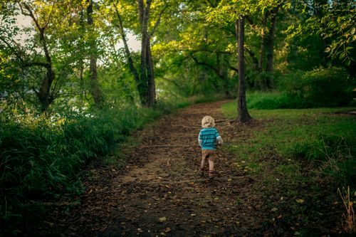 Free A child strolls along a wooded path during summer, surrounded by lush green trees. Stock Photo