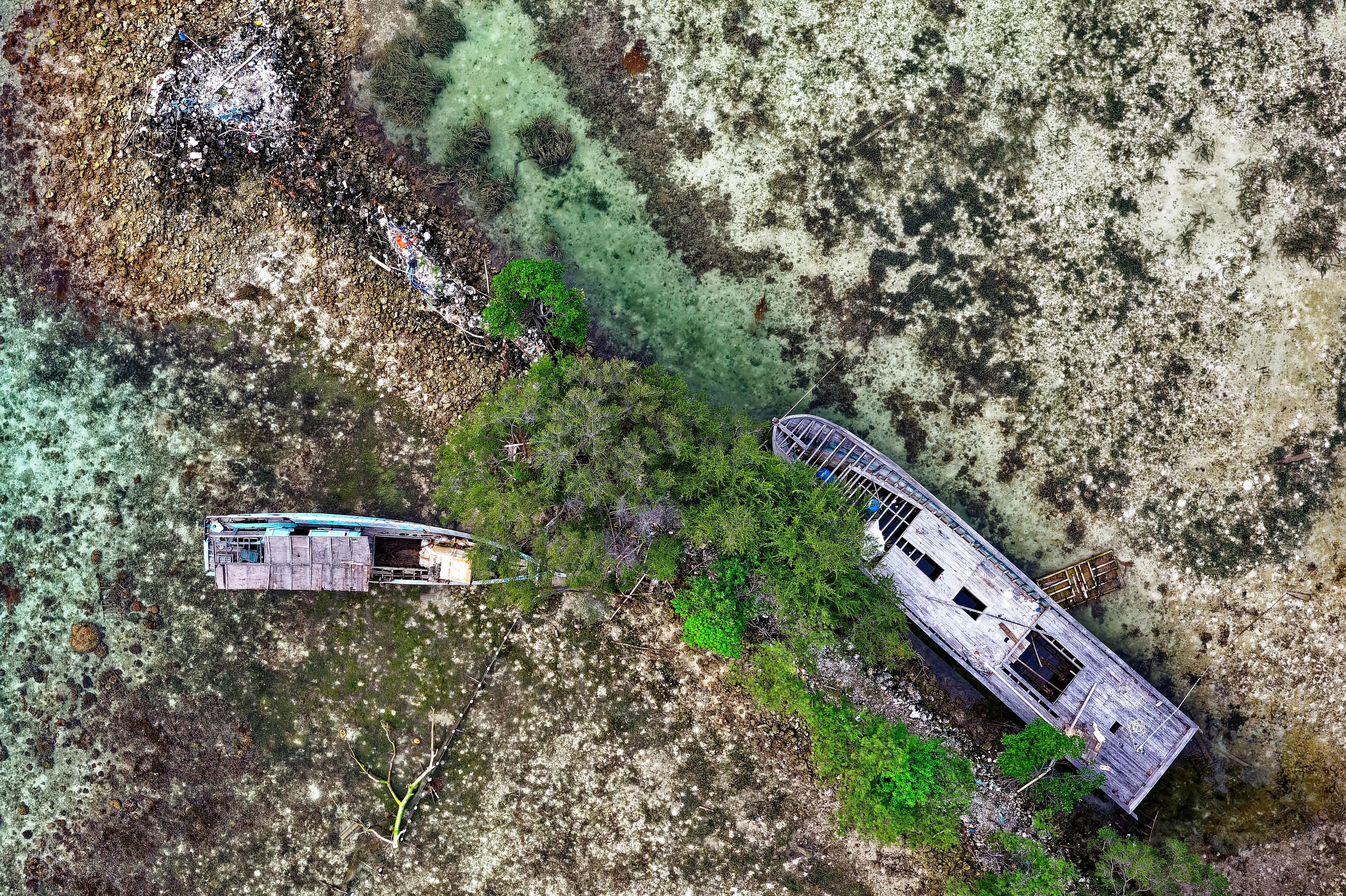 Open fantasy book with fairy lights