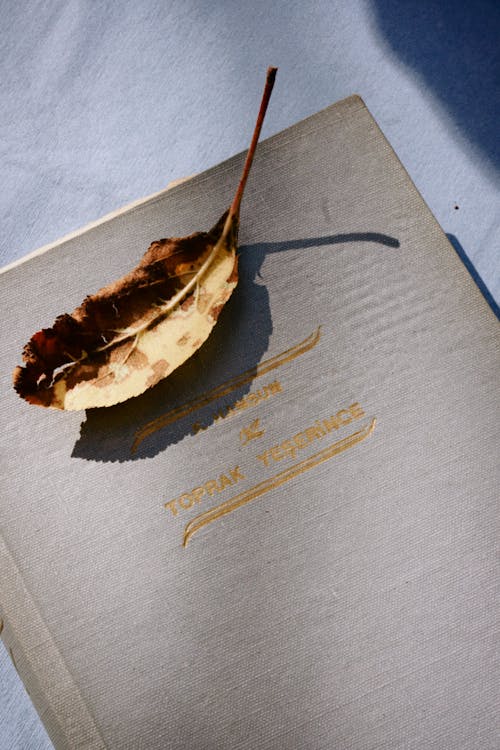 Dried Autumn Leaf on a Gray Cover of a Toprak Yeserince Book 