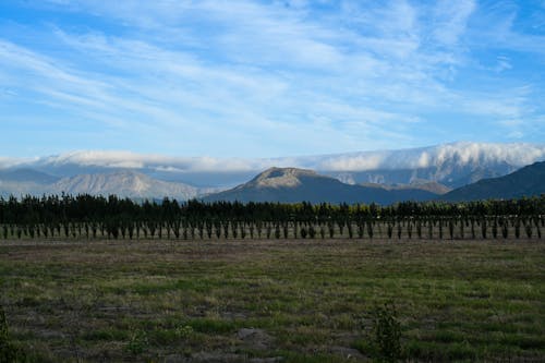 mountains and fields 