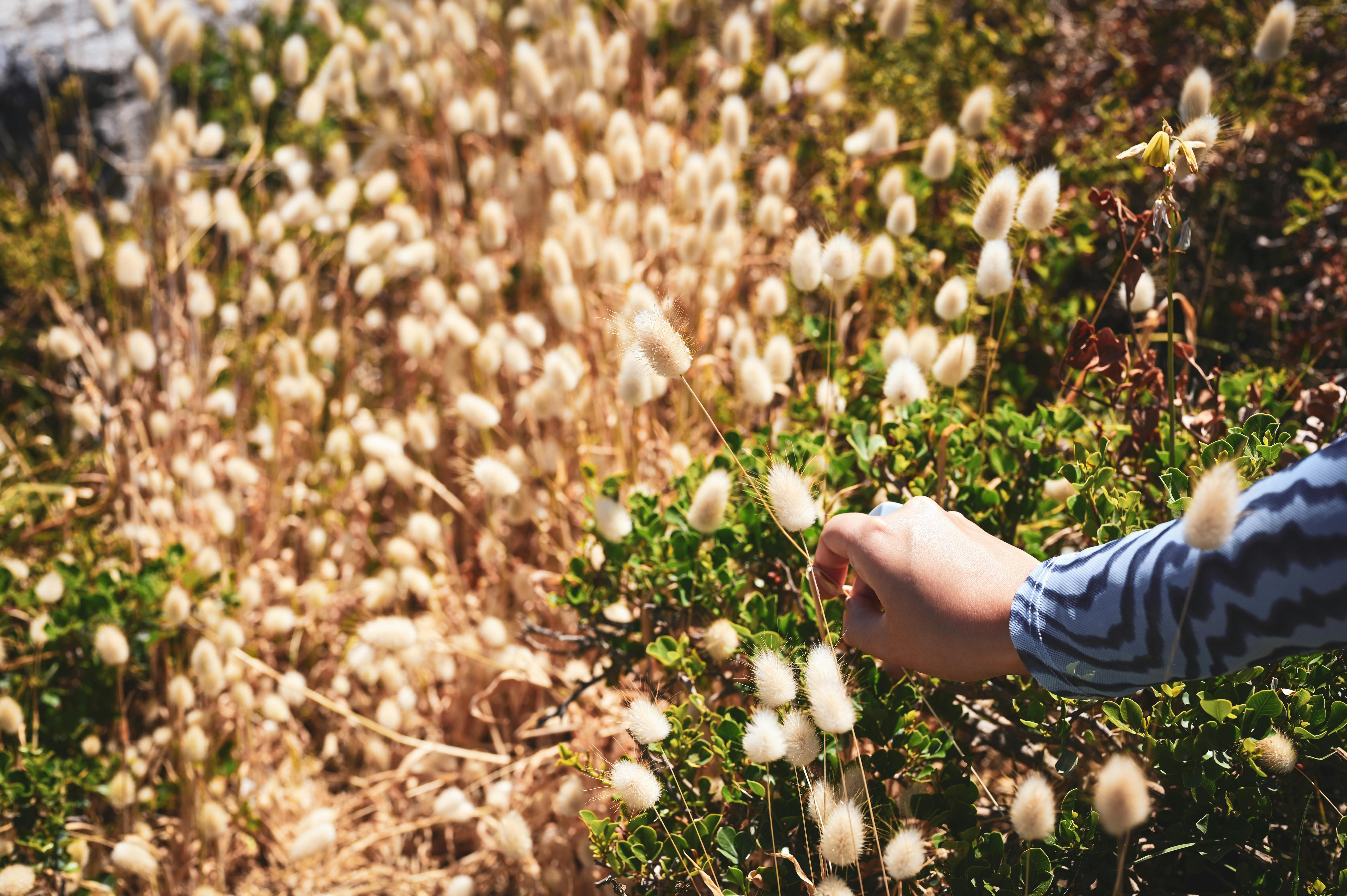 Landmarks in Hermanus