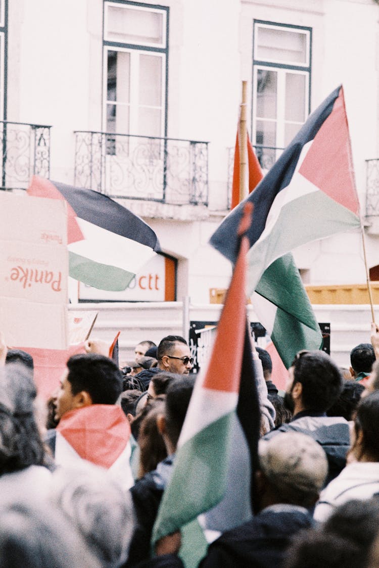 Crowd Holding Flags Of Palestine