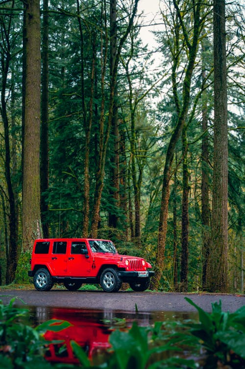 Red Jeep Wrangler Rubicon on the road in the forest