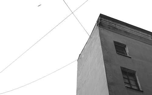 Corner of Residential Building in Black and White