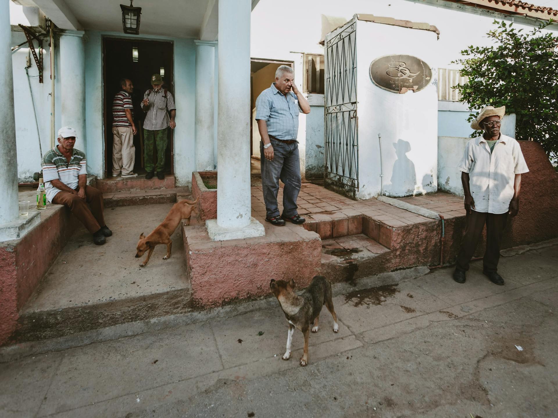 Men and Dogs Standing near Building Columns