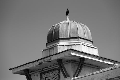 Ảnh lưu trữ miễn phí về đạo Hồi, đen và trắng, mái vòm