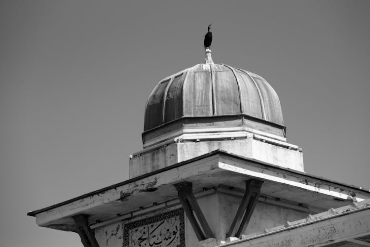 Mosque Dome In Black And White