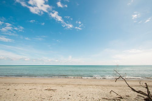 Бесплатное стоковое фото с beachlover, на пляже, песок
