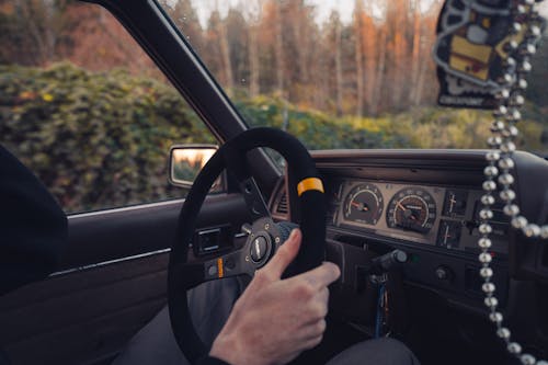 Fotobanka s bezplatnými fotkami na tému auto, interiér, jeseň