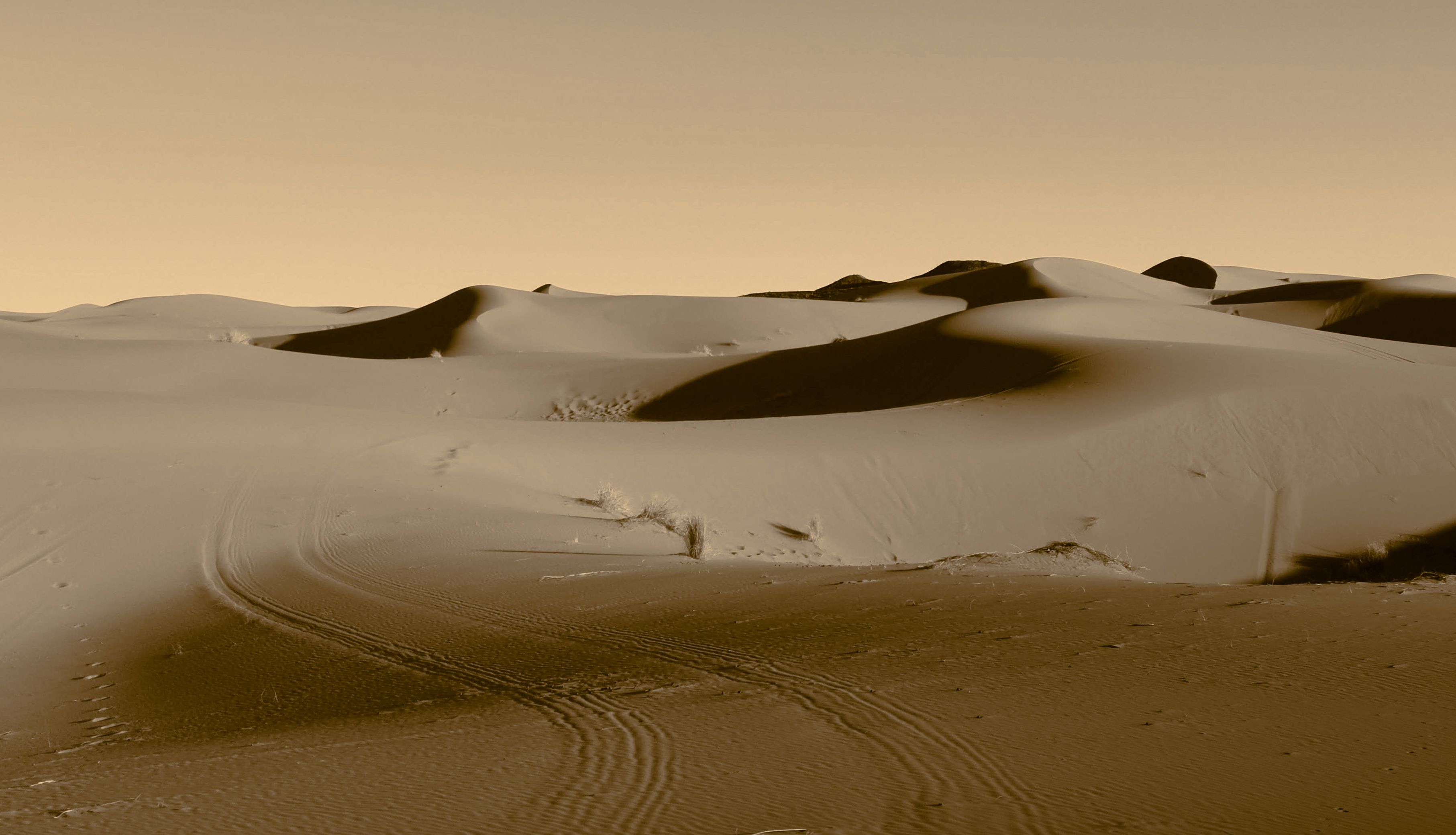 Expansive sand dunes of Merzouga at sunset, capturing the essence of Moroccan desert beauty.