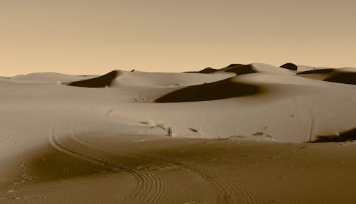 Foto d'estoc gratuïta de Àfrica, desert, dunes