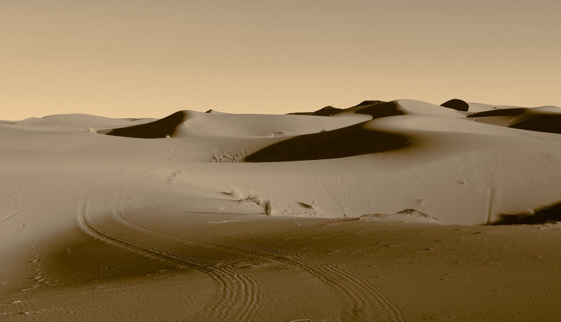 Expansive sand dunes of Merzouga at sunset, capturing the essence of Moroccan desert beauty.