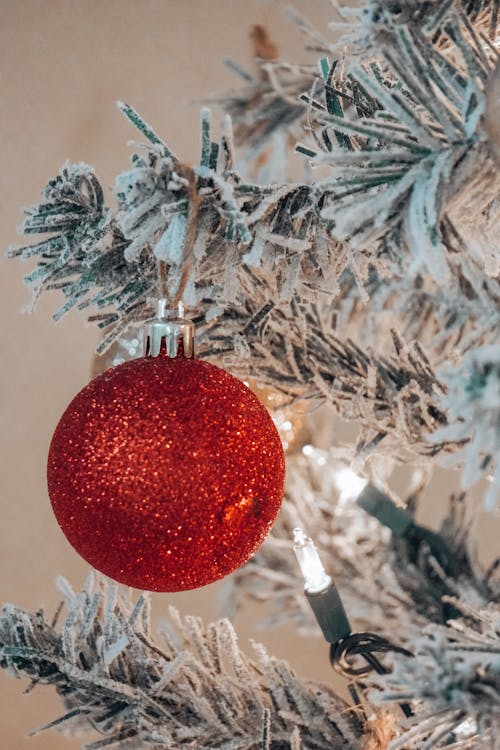 Ornament with Glitter on Christmas Tree 
