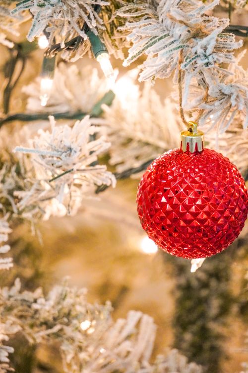 Free Close-up of a red ornament hanging on a frosted Christmas tree with warm glowing lights. Stock Photo