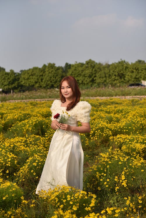 Gratis arkivbilde med åker, gule blomster, hvit kjole
