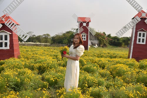 Woman with a Bouquet Among Herbs with Yellow Flowers in a Field Decorated with Windmills