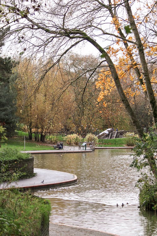 Park with Pond in Autumn