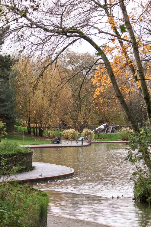 Free Explore a peaceful park scene with a pond reflecting fall foliage in England. Stock Photo