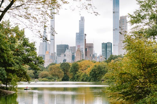 Gratis stockfoto met attractie, bomen, central park