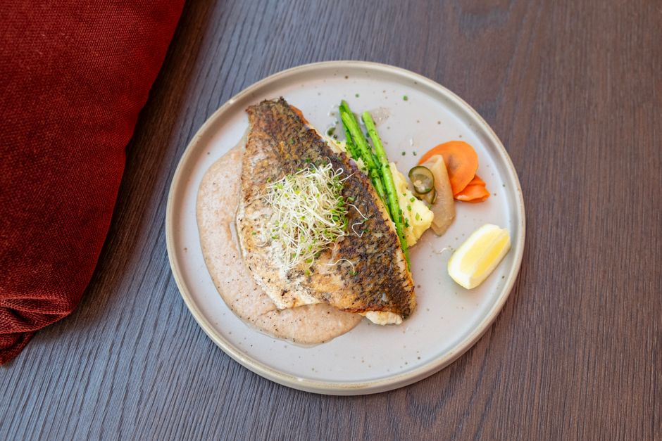 Barramundi