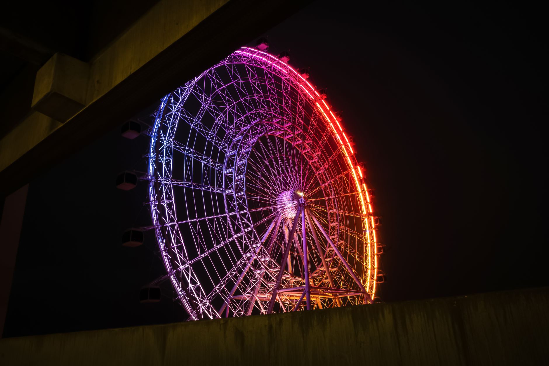 Orlando photo 3