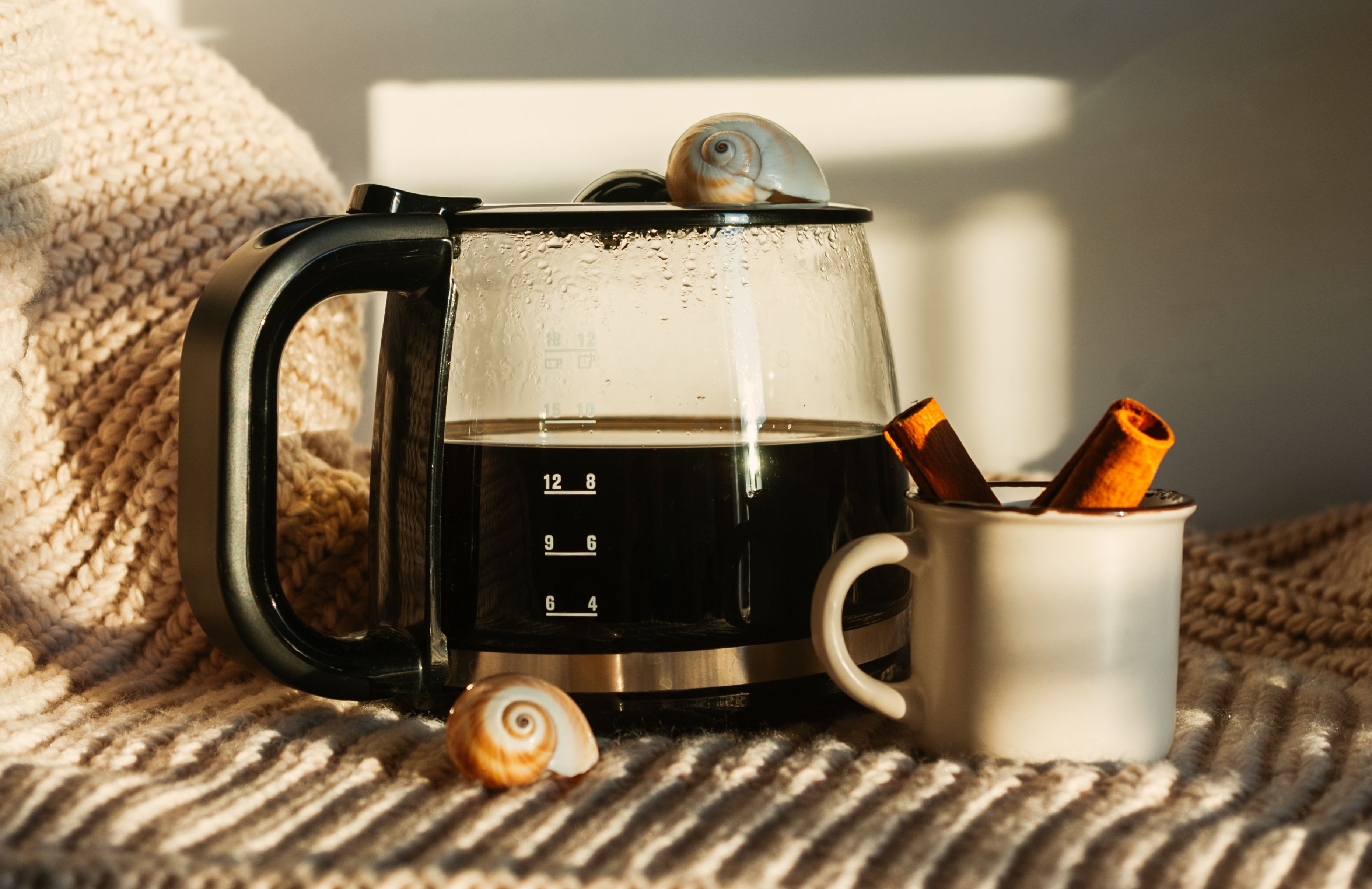 Teemaschine mit Timer 1,5L — Empfehlung für Teemaschine mit Timer-Funktion