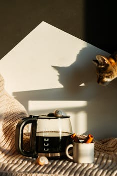 Warm scene with coffee pot, mug, cinnamon sticks, and curious cat casting shadows.