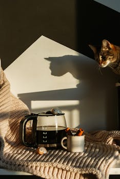 A curious cat peers at coffee, cinnamon, and shells on a cozy knit blanket in sunlight.