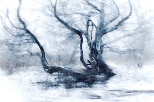 Ghostly Leafless Tree in a Snowstorm