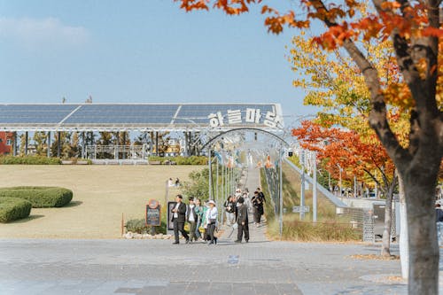 가을, 걷고 있는, 공원의 무료 스톡 사진