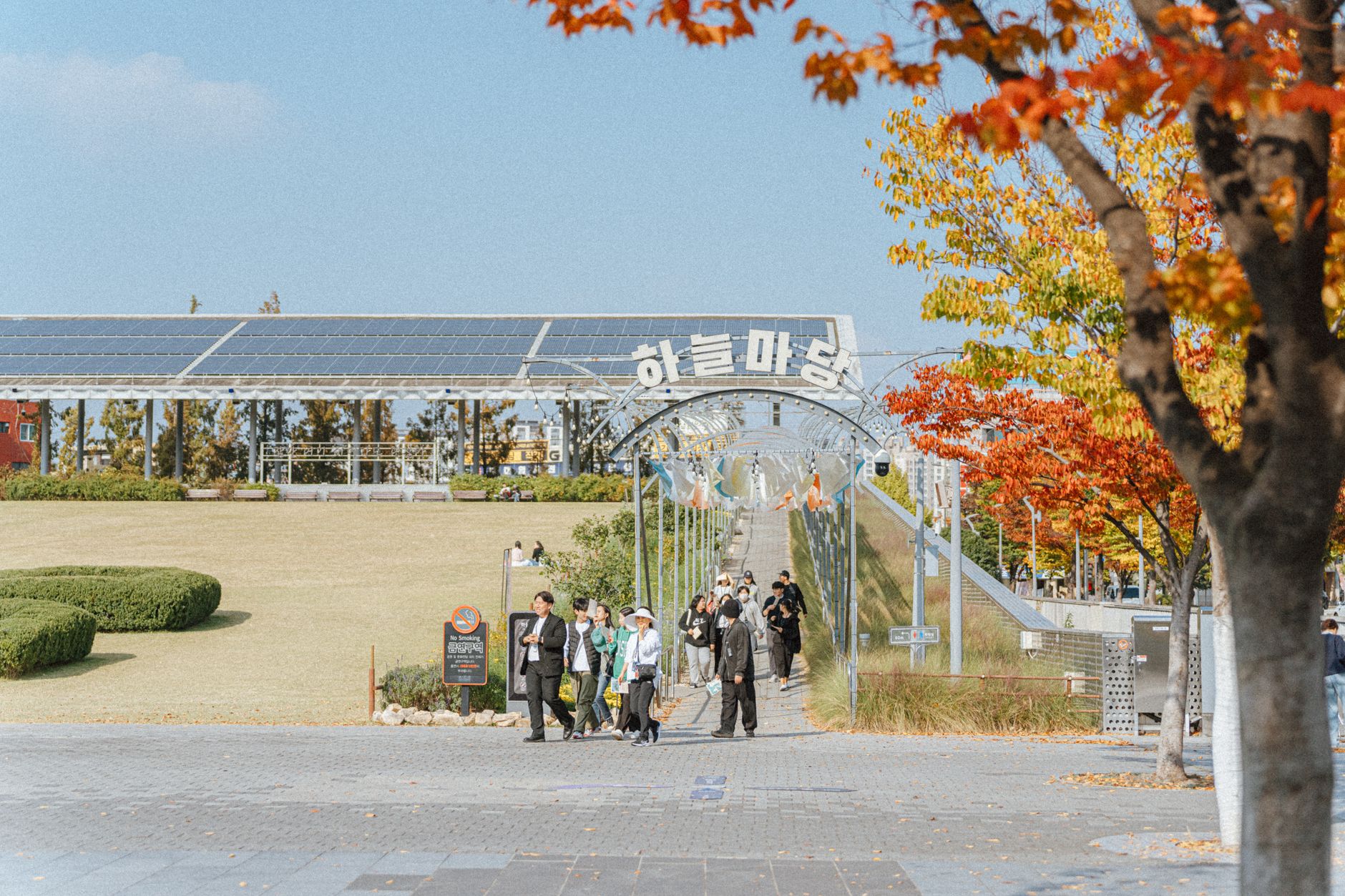 Menjelajahi Keindahan Musim Gugur Korea Selatan di Seoul dan Busan