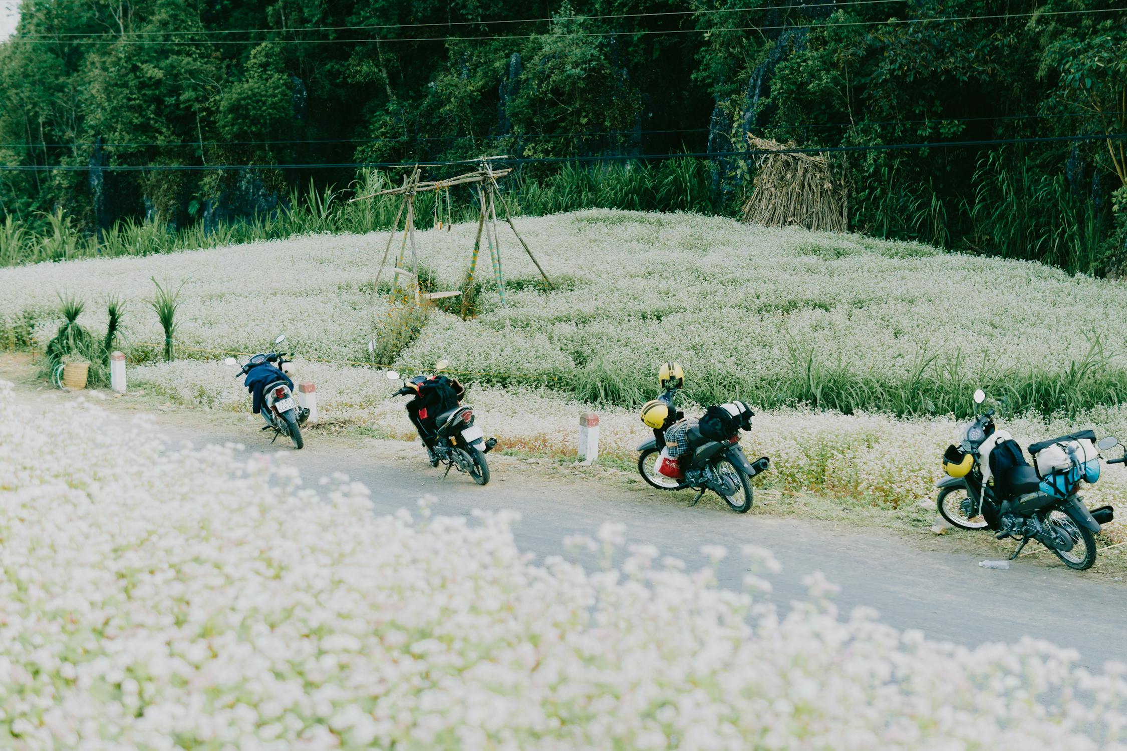 Motorcycles Left on the Roadside by a Rice Field · Free Stock Photo